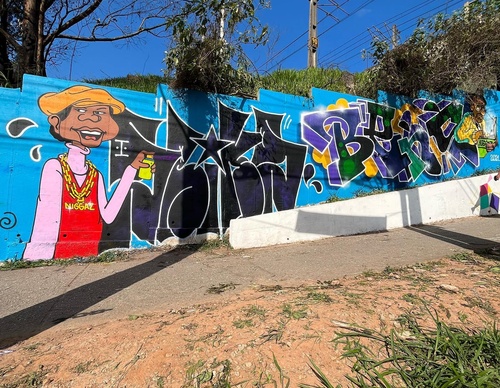 Gallery Of Street Art By Rafael Sliks - Brazil