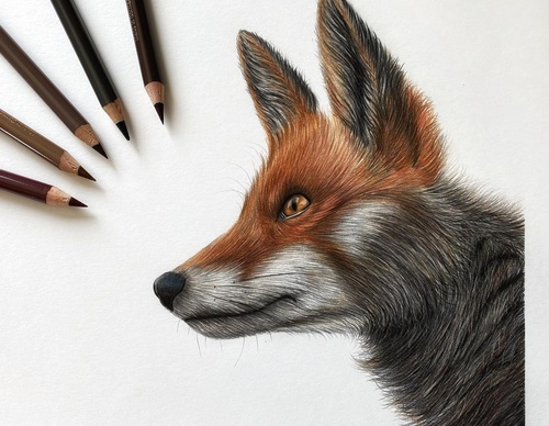 Gallery Of Realistic Painting By Mia - Poland