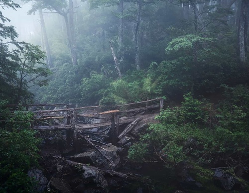 Gallery Of Photography By Rodrigo Viveros - Chile
