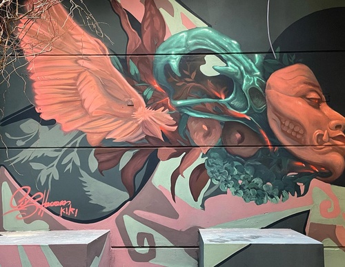 Gallery Of Street Art By Kiki - Brazil