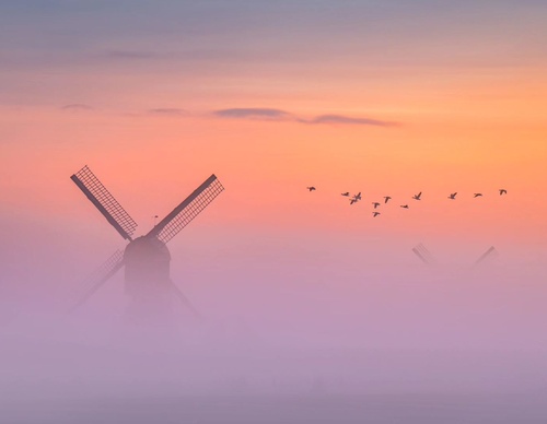 Gallery Of Photography By Albert Dros - Netherland