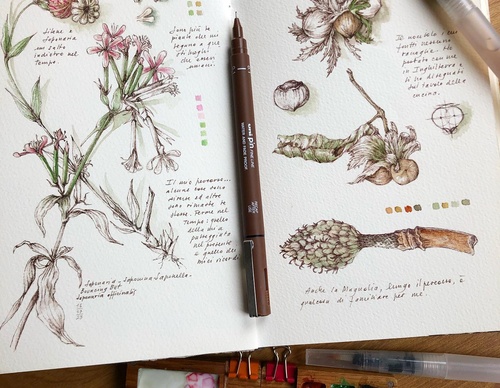Gallery of Drawing by GiacoMina Ferrillo-Italy