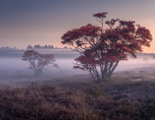 Galería de fotografía de Gijs de Reijke - Holanda