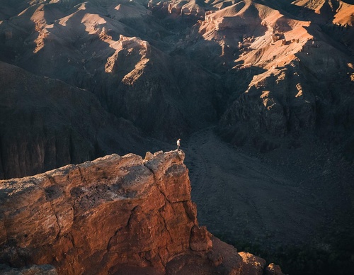 Gallery Of Photography By Luke Stackpoole - United Kingdom