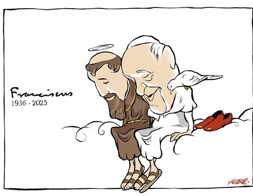 kleber sales co brasil