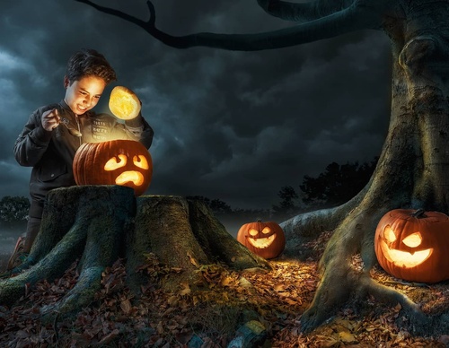 Galeria De Fotografia De Adrian Sommeling - Holanda