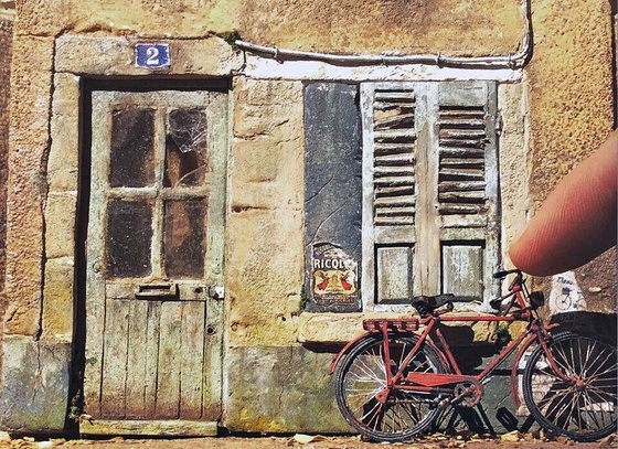 raphael truffi bortholuzzi brazil