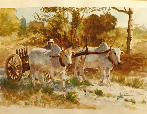 jorge castrillon