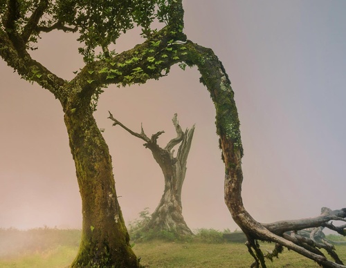 Galería de fotografía de Jorge Reinaldo - Portugal