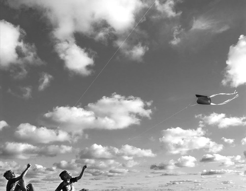 raul canibano