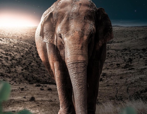 Galería de fotografías de Evgeny Gammer - Rusia