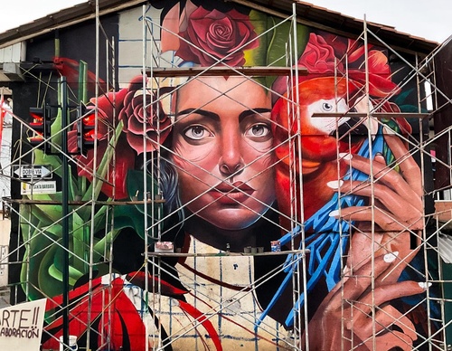 Gallery Of Street Art By Javier Rodriguez - Ecuador