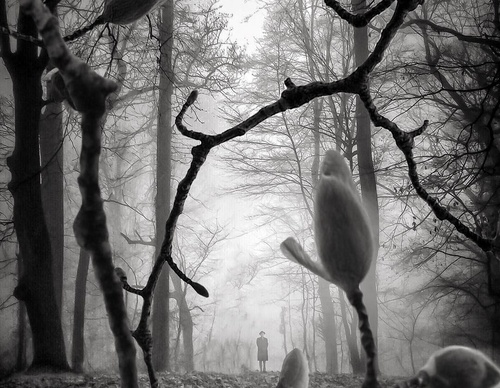 william smith