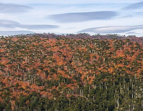 Gallery Of Photography By Rodrigo Viveros - Chile