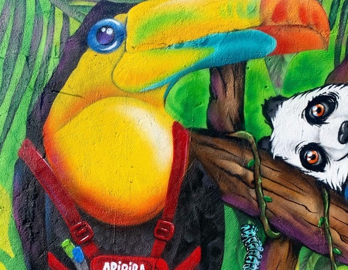 Gallery Of Street Art By Berejuk - Brazil