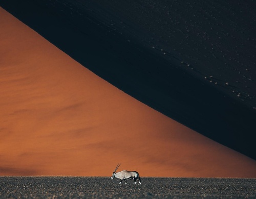Gallery Of Photography By Luke Stackpoole - United Kingdom