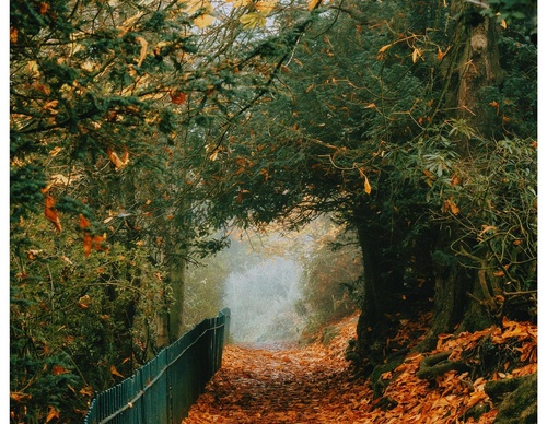Gallery Of Photography By Daniel Casson - United Kingdom