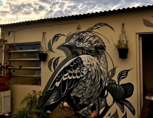 Gallery Of Street Art By Fio Silva - Argentina
