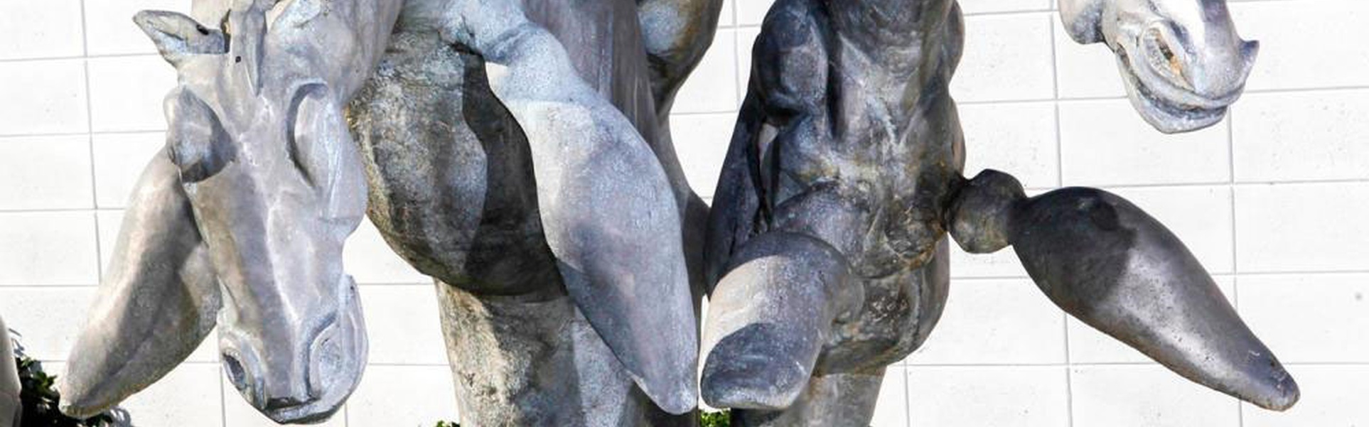 Manuel Carbonell | Cuban Contemporary & Modern Artist