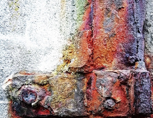 Galería de fotografías de Debbie Tucker - Inglaterra
