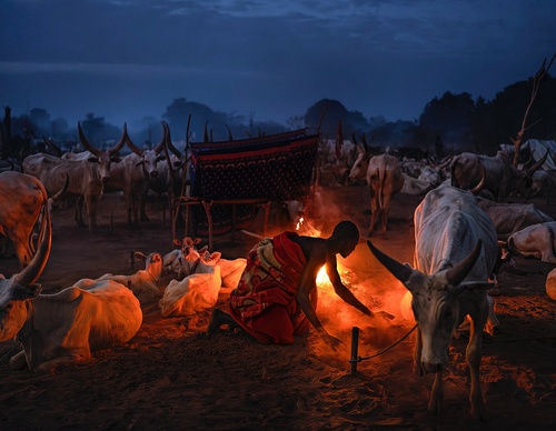 Galería de fotografía de Alessandro Bergamini - Italia