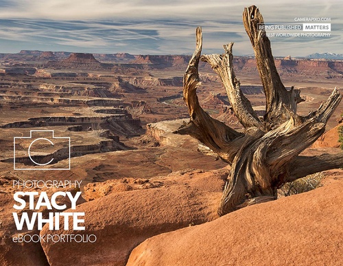 Fotografia de Stacy White