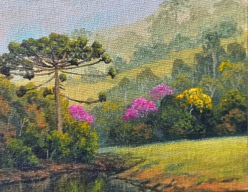 Gallery Of Painting By Emanuel Sansana - Brazil