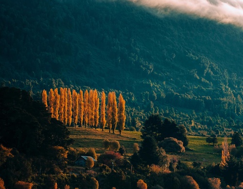Gallery Of Photography By Sebastián Ojeda S - Chile