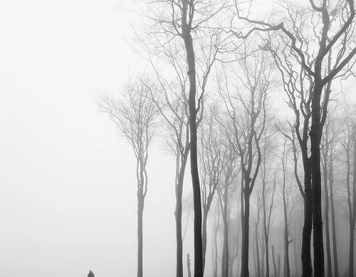 Galeria de fotografias de Nina Papiorek - Alemanha