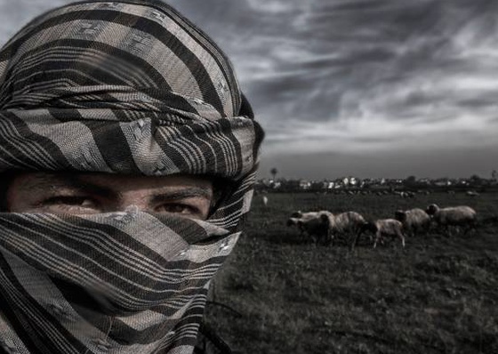 Galeria de Fotografia de Mohammed Shurrab - Palestina