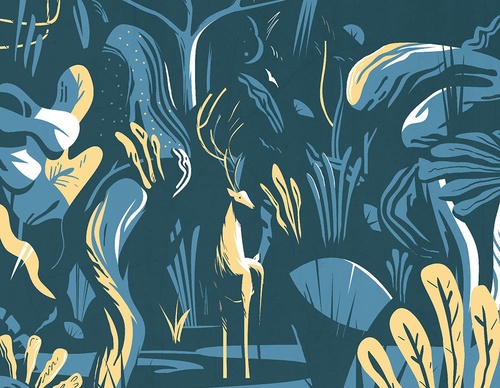 Gallery f Illustration by Clement Barbe – France