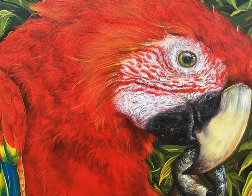 Gallery Of Street Art By Andy J. Céspedes Fernández - Peru