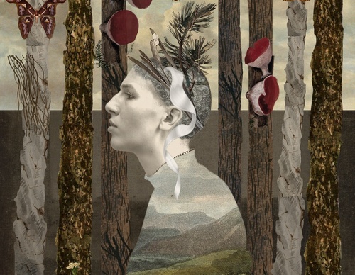Galeria de ilustrações de Sarah Jarrett - Jamaica