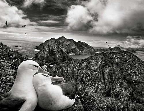 Galeria de Fotografia de Sebastião Salgado-Brasil