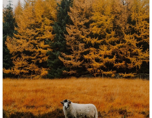 Gallery Of Photography By Daniel Casson - United Kingdom