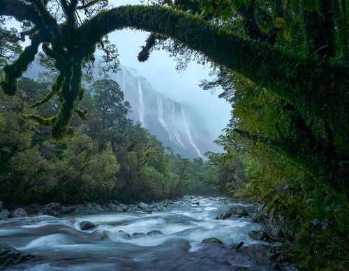 Galeria de fotografias de William Patino - Nova Zelândia
