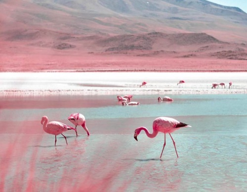 Gallery Of Photography By Paolo Pettigiani - Italy