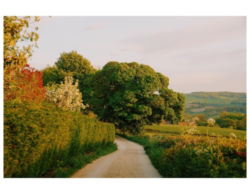Gallery Of Photography By Daniel Casson - England