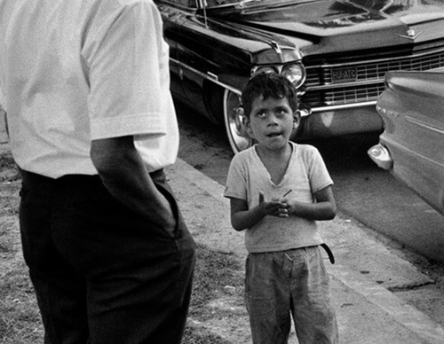 cornell capa