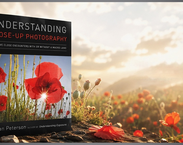 UNDERSTANDING CLOSE-UP PHOTOGRAPHY