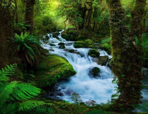 Galeria de fotografias de William Patino - Nova Zelândia