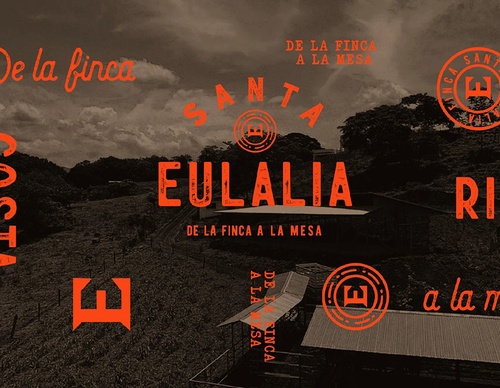 gitanos studio