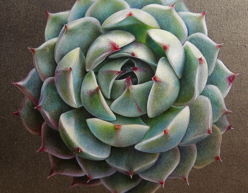 Gallery Of Visual Art By Carlo Batistella - Brazil