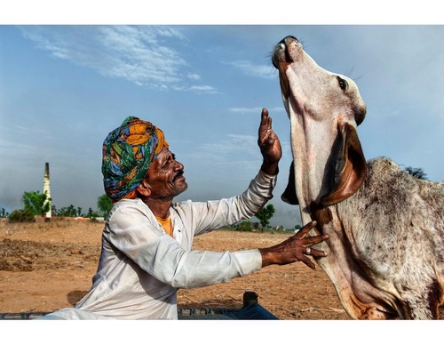 Gallery Of Photography By Steve McCurry - USA