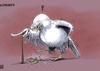 Dove of Peace and Alzheimer's