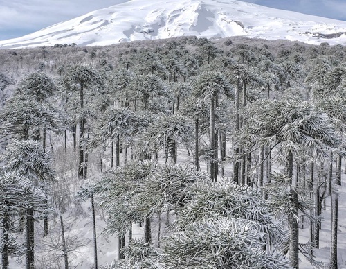 Gallery Of Photography By Fernando Gudenschwager - Chile