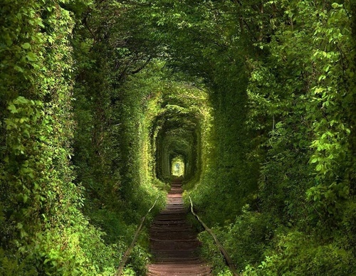 Gallery of the best Visual Arts in the World