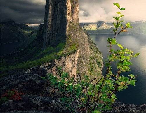 Gallery Of Photography By Max Rive - Netherlands