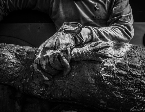 Gallery Of Photography By Fernando Faciole - Brazil