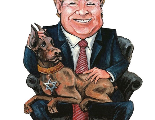 cartoon section